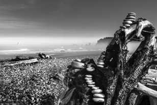 Serendipity on Rialto Beach-2374 Serendipity on Rialto Beach-2374
